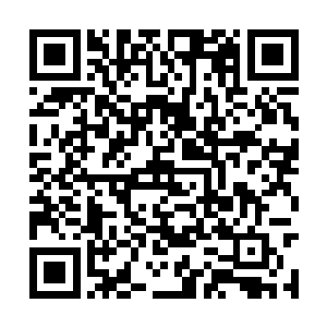 那些余下的守护者也意识到这个小萝莉就是许紫烟二维码生成