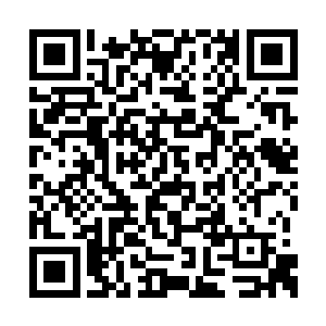 那些偷猎者能开来的汽车多的超出了高扬的预计二维码生成