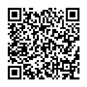 那些冒险者在追上周御龙等人之前就已经内讧和厮杀了起来二维码生成