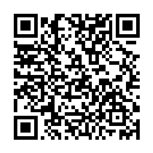 那些冲出来大约有数百人左右的曹魏军死士无不奋起二维码生成