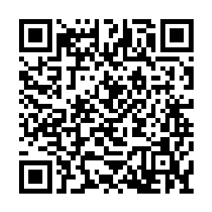 那些凝练期的高手们顿时从震骇之中回过了神来二维码生成