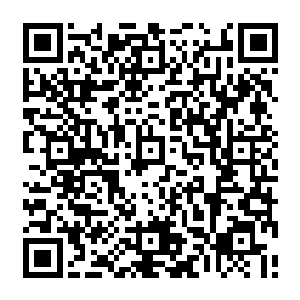 那些剩余的吐蕃人在冬天降临之后就抱着最后的一线希望去投靠自己高原上的族人了二维码生成