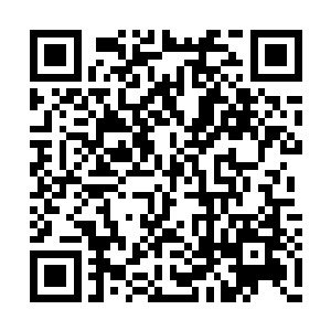 那些势力的首领有一部分是大罗金仙级别的强者二维码生成