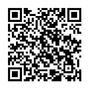 那些医生就好像被狗追着一样的疯狂扑向飘零所在的病房二维码生成