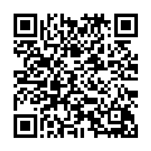 那些千金闺秀之中即便有人不是奔着他的身份地位而来二维码生成