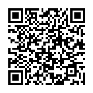 那些危险和眼前的危险比起来简直就是不值一提啊二维码生成