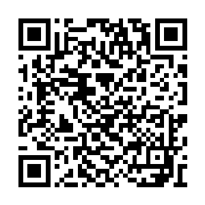 那些原本正在到处扑腾的鸡鸭鹅蓦然就都不动了二维码生成