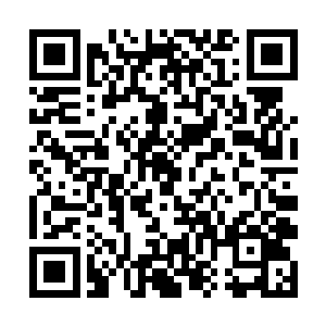 那些原本还在不断攻击众人的女尸都显得安静了起来二维码生成