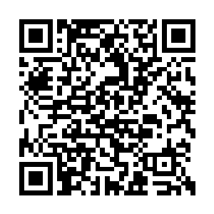 那些参与此事的小弟们一口咬定不是他们告密的二维码生成