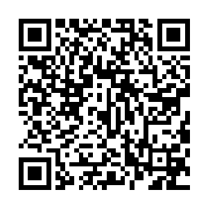 那些发足狂奔的黑人在高扬他们前方差不多四五百米的距离二维码生成
