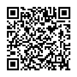 那些号称海上第二条生命的纽芬兰犬居然忘带了二维码生成