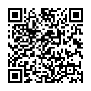 那些后来出生没有经历过浩劫的修士心中并没有多少恐惧二维码生成