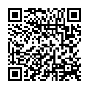 那些商户也在丈量结束后主动到郡守府来上缴了银两买走地契二维码生成