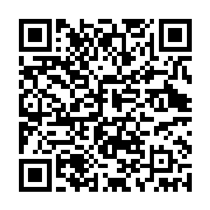 那些喜娘们就已经鱼贯而入自觉的为陆锦阳梳洗打扮二维码生成