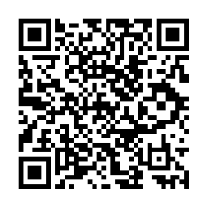 那些喝了有毒的水的人呕吐以后排出了大部分的毒二维码生成