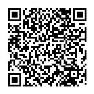 那些圣级九层后期巅峰大修士都应该是在百族时代的时候就已经是那个修为了二维码生成
