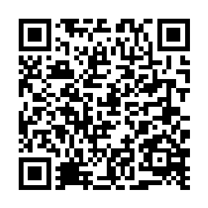 那些在天贵星占据了许家财产的家族一个个丧魂落魄二维码生成