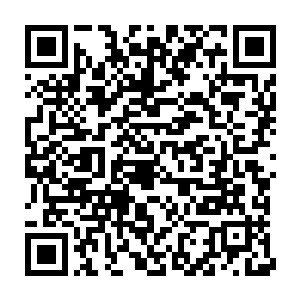 那些在普通人眼里如同神祇一样的a级机甲就和菜市场中的大白菜一样二维码生成