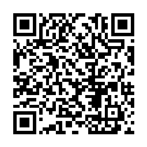 那些在理论中的大阵竟是逐一在他手下绽放出光彩二维码生成