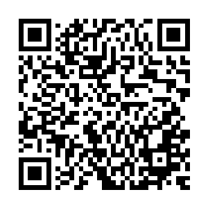 那些在苏凡看来缺少条件无法解决的问题都会得到很好的解决二维码生成