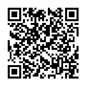 那些声嘶力竭的表情一直不断在冲击着雨果的视线二维码生成