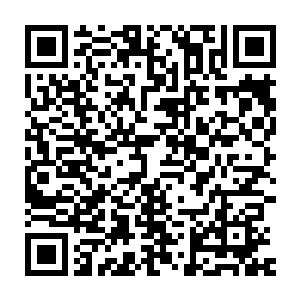 那些大家族哪一个不是用百十年的时间打根基才有今天人丁兴旺的模样二维码生成