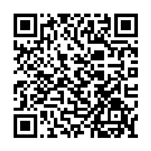 那些守护鳞片竟是被这恐怖剑潮全都绞成了齑粉二维码生成