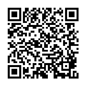 那些差点冲到杨风几人面前的人都是纷纷的倒地二维码生成