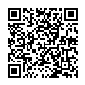 那些帮忙晒书的年轻士子也许听不清楚那边的言谈内容二维码生成