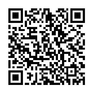 那些平常被他们珍视的宝物刚才就像垃圾一样的用了二维码生成