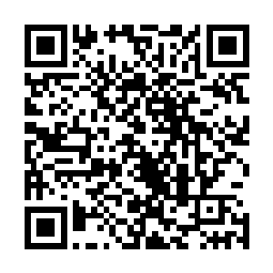 那些平日里在东京城耀武扬威的大豪都拖家带口的亡命出城二维码生成