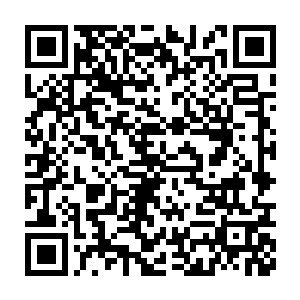 那些平时对他爱理不理的老师在放学回家的时候也会和他打声招呼二维码生成