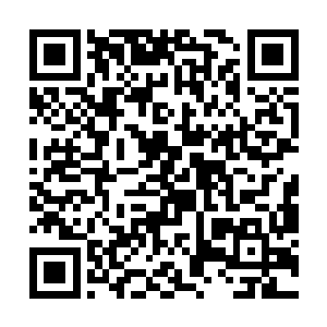 那些应该是连夜忙了两三天的华国工人站在路边挥手二维码生成