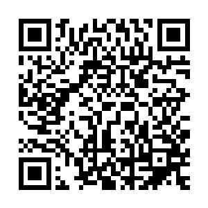 那些御剑飞走的修仙者还没飞出多远就被无形的大手拍落下来二维码生成