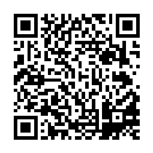 那些恐怖的迷雾对于人类或者其他生物都能造成非常可怕的影响二维码生成