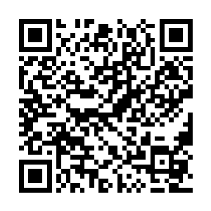 那些房屋内的混沌兽和域外天魔才会再次破封而出二维码生成