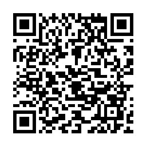 那些曾经被雷欢喜救过的蓝丝巾计划的成员都非常想念雷欢喜二维码生成