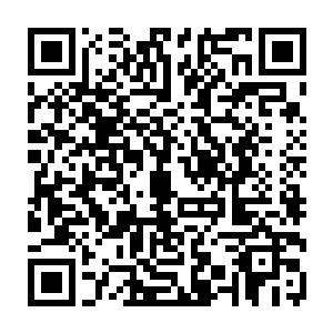那些最先愤然出手的修仙者甚至都没看清对方怎么出手就突然失去了意识气息二维码生成