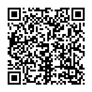 那些来自沼泽地下的妖兽们身上的气息居然也开始紧密联系在一块二维码生成