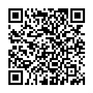 那些正在围攻神术师一行人的爬藤仿佛突然发了疯一般二维码生成