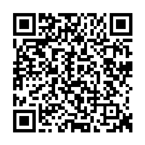 那些正在营地外呼喊奔走的人群顿时都停下下来二维码生成