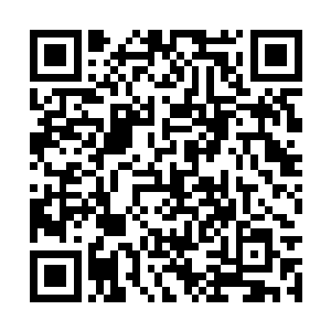 那些没有意识的血卫却依旧在不受影响的踏步而来二维码生成