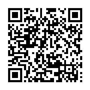 那些没有进入十大种族的都要比他们差上一个等次二维码生成