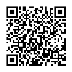 那些洞天之中的傀儡战偶的数量或者是场地空间等各方面的条件二维码生成