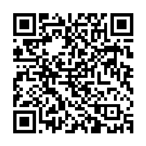 那些漠人们已经开始主动的和这些隐蔽在丛林之后的人搭起话来二维码生成