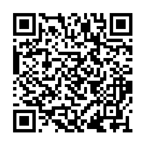 那些猛禽异兽已经四面八方地朝杨开飞舞了过来二维码生成