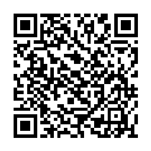 那些白色的雾气正透过我们身体上的每一个毛孔二维码生成