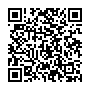 那些砍刀队的人都把家伙装到随身携带的一个蛇皮袋里二维码生成