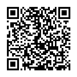 那些碰壁的高手自然不管三七二十一的直接就去对付萧航了二维码生成