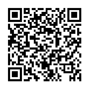 那些老家伙再加上后面那些英语好的医生勉强能听得懂二维码生成